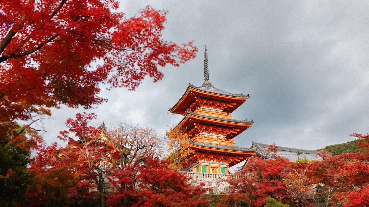 Kiyomizu-dera Temple in Kyoto surrounded by red autumn maples